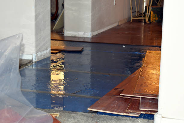 Professional Water Extraction technician working in Martindale, TX